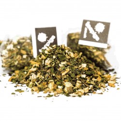 Teapigs Liquorice & Peppermint tea pyramid