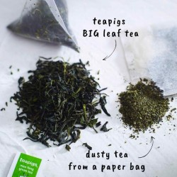 Teapigs Mao Feng green tea pyramid